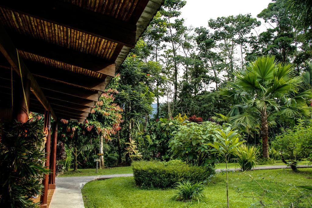 Catarata Eco Lodge La Fortuna Dış mekan fotoğraf