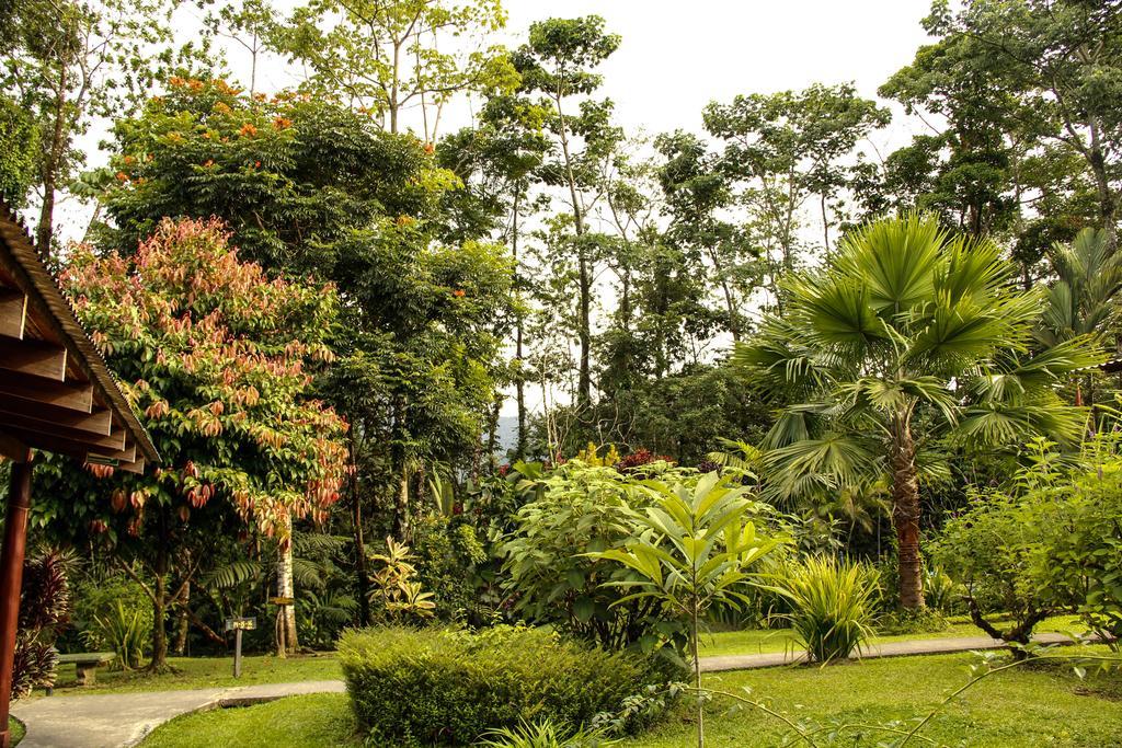 Catarata Eco Lodge La Fortuna Dış mekan fotoğraf