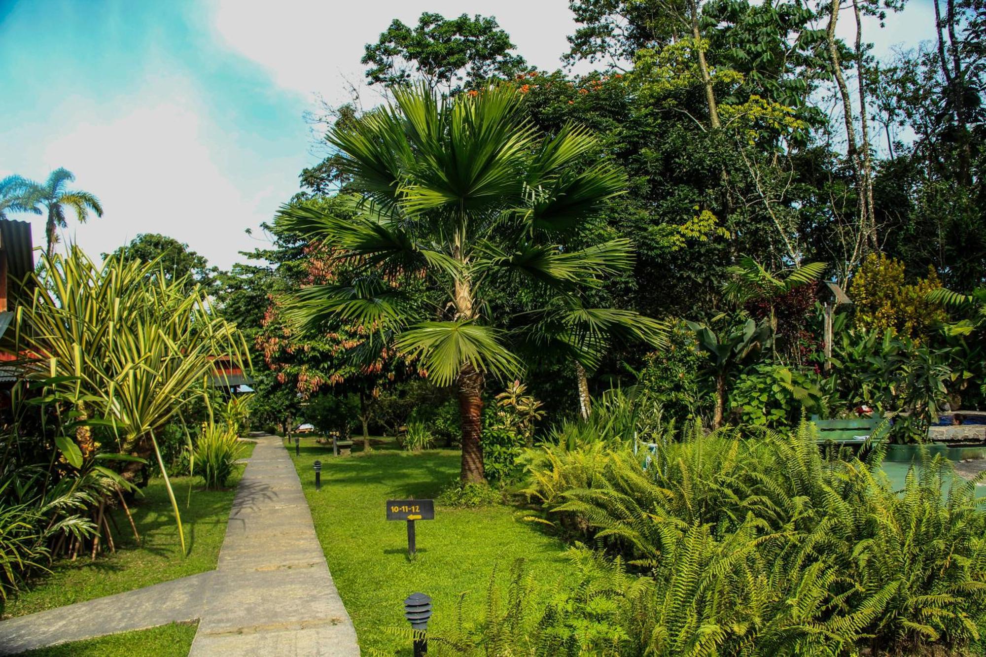 Catarata Eco Lodge La Fortuna Oda fotoğraf