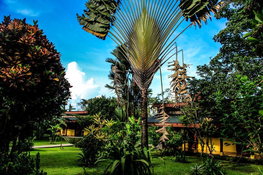 Catarata Eco Lodge La Fortuna Dış mekan fotoğraf