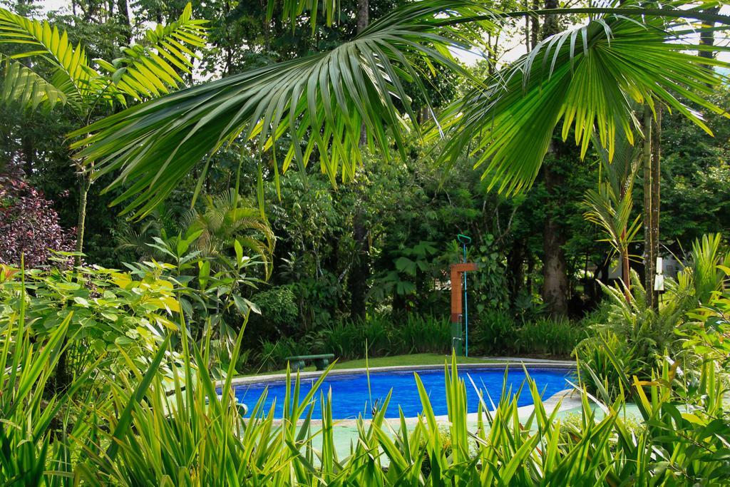 Catarata Eco Lodge La Fortuna Dış mekan fotoğraf