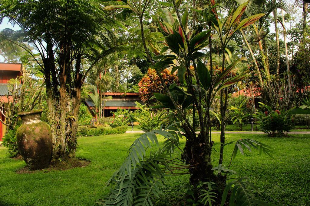Catarata Eco Lodge La Fortuna Dış mekan fotoğraf